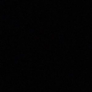 Meet your Posher, Lilo